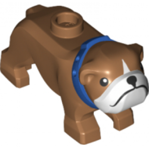 Bulldog met blauwe halsband Medium Nougat